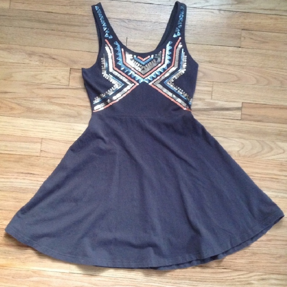 Express Skater Dress